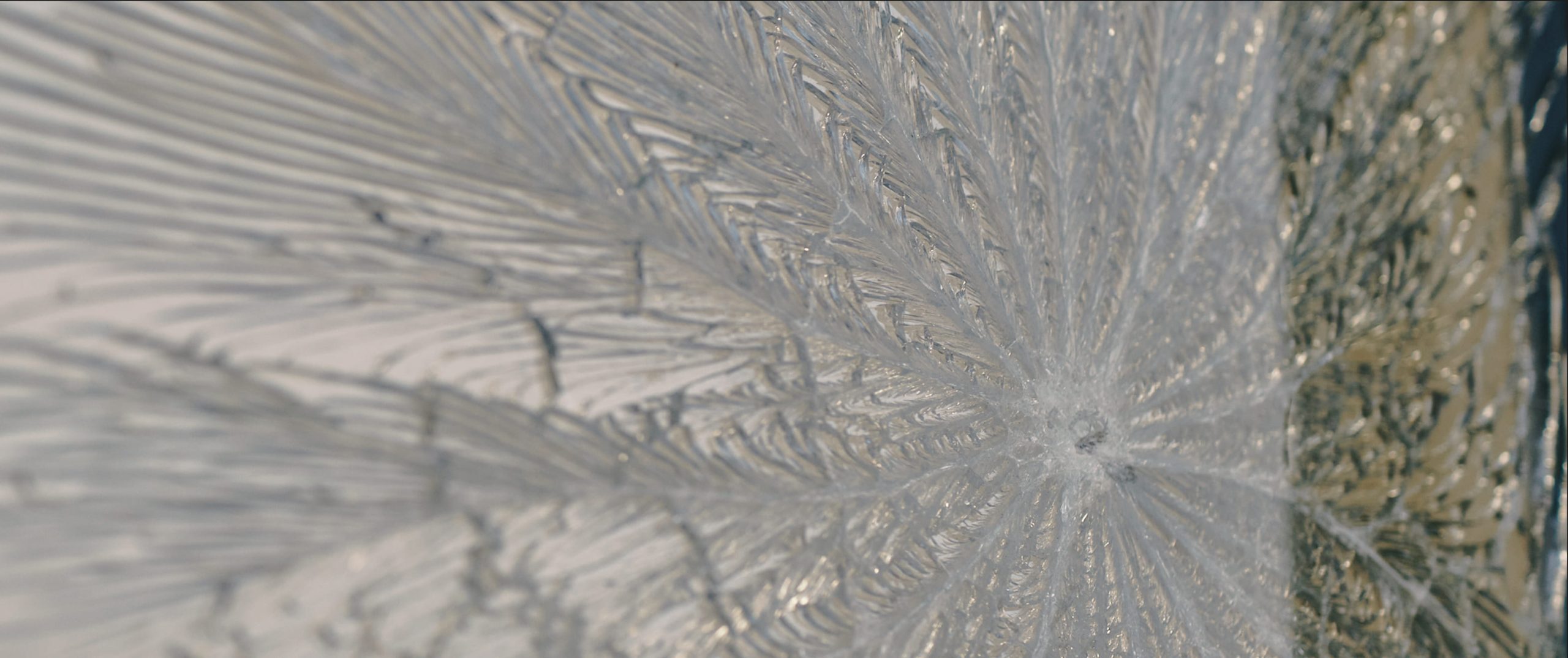 세상은 그렇게 끝나지 않을 수 있다