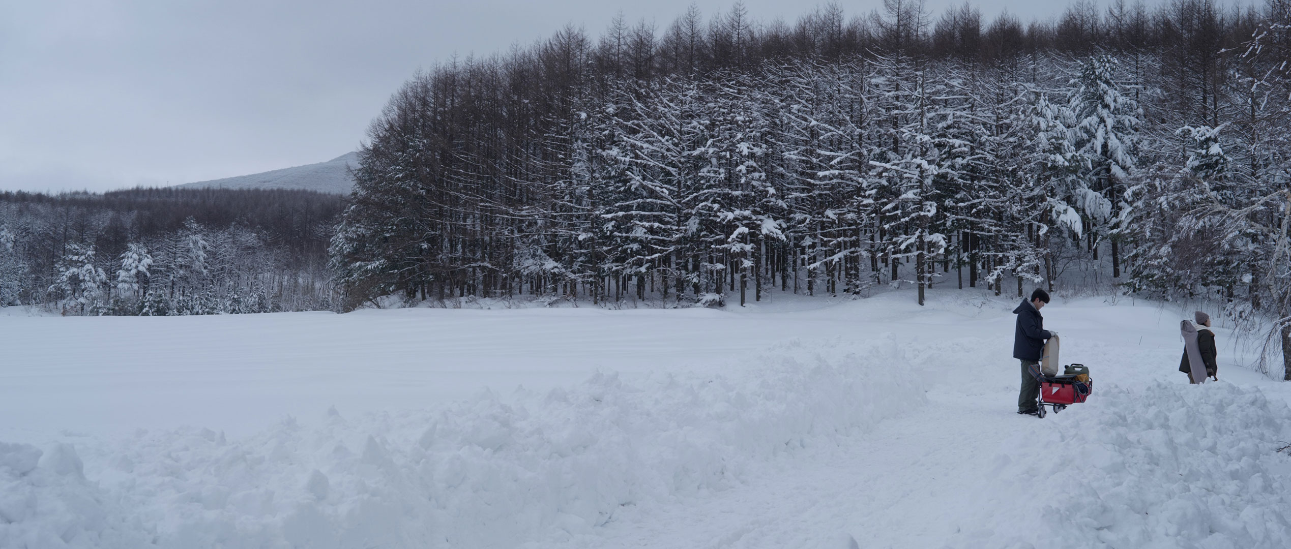 어느 연인의 사계절